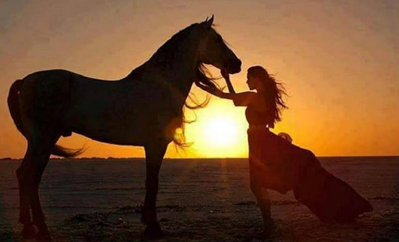 Friends, sunset, bonito, horse, girl, HD wallpaper