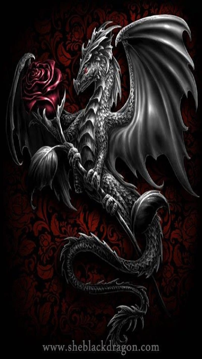 Красивые картинки на телефон дракон. Красивый дракон. Черный дракон. Изображение дракона. Крутой дракон.