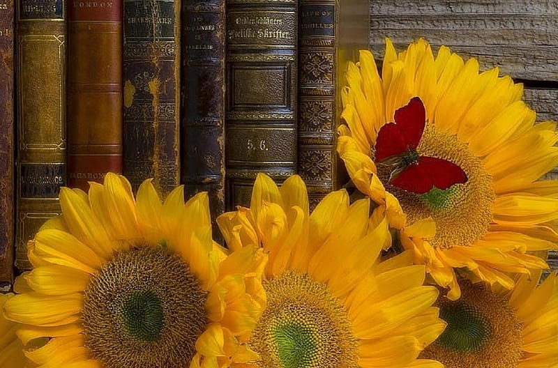 Sunflowers with the Books, pretty, lovely still life, lovely, books, love four seasons, yellow, graphy, sunflowers, flowers, butterfly designs, HD wallpaper