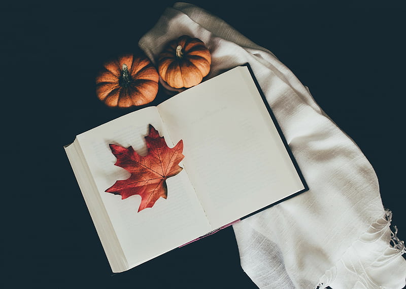 book, leaf, pumpkin, scarf, autumn, HD wallpaper