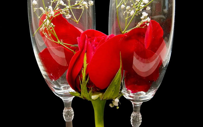 Red roses hidden in glasses ***, red, glass, flower, flowers, nature,  roses, HD wallpaper | Peakpx