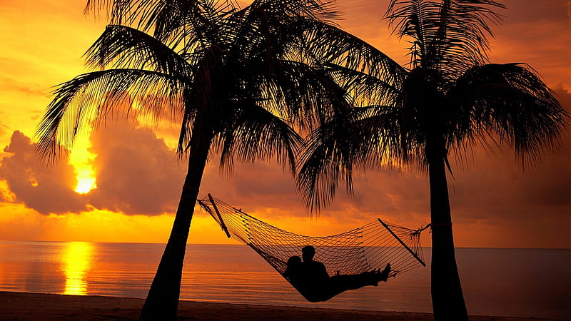 Romantic couple on an exotic beach, Romantic couple, beach, Palm trees, Sundown, HD wallpaper