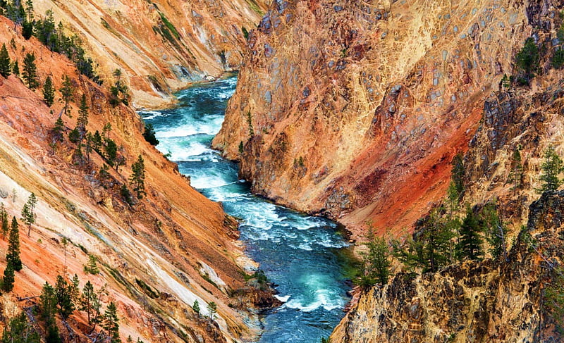 Colorado River, water, usa, national park, trees, canyons, grand canyon, HD wallpaper
