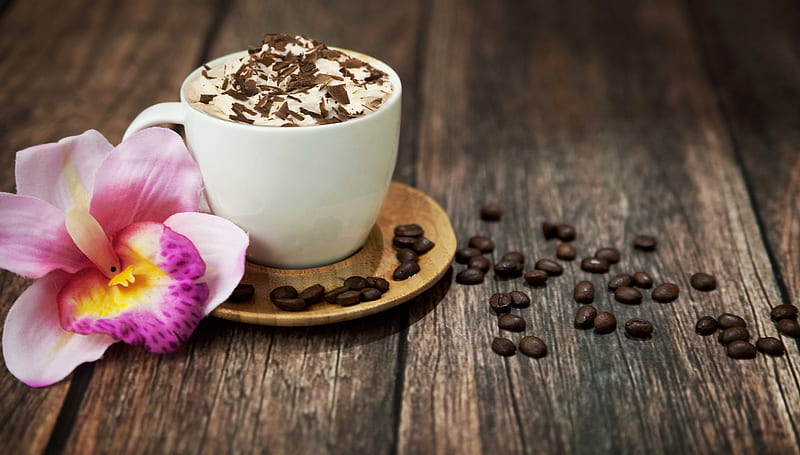 Coffee Time, flower, coffee, coffee beans, cup of coffee, HD wallpaper