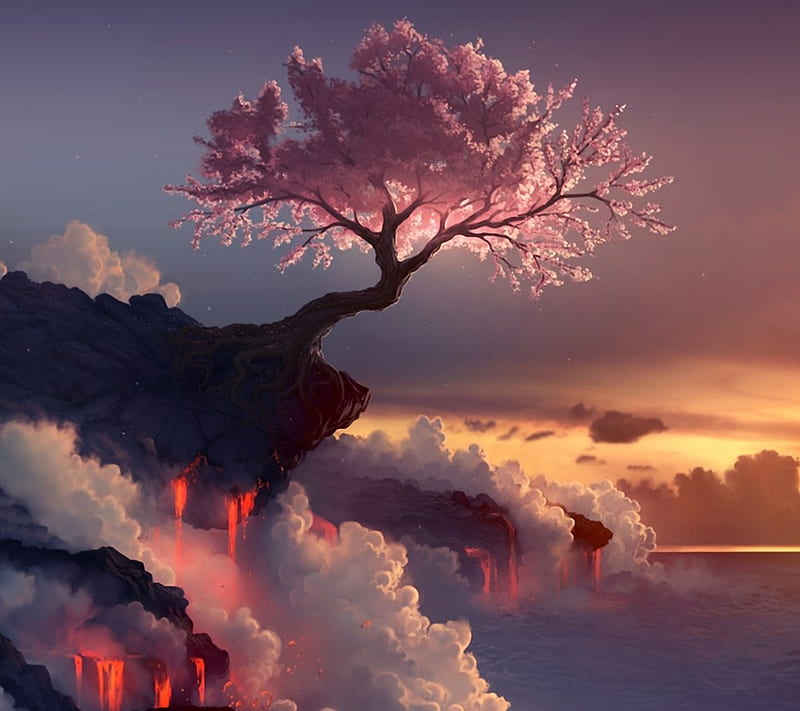 Lava Sakura, ambient, japan, nihon, nippon, tree, vulcano, HD wallpaper