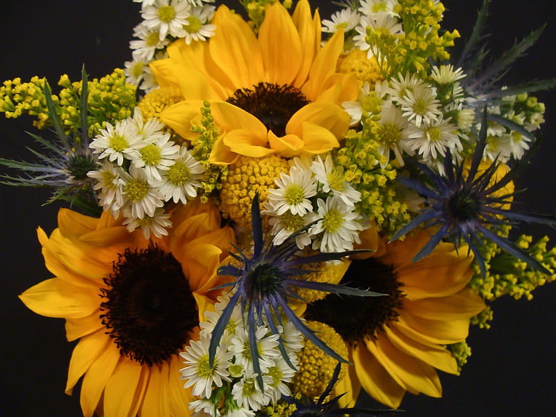 SunFlower Bridesmaid, sunflowers, bouquet, bridesmaid, love, siempre, flowers, yellow, nature, HD wallpaper