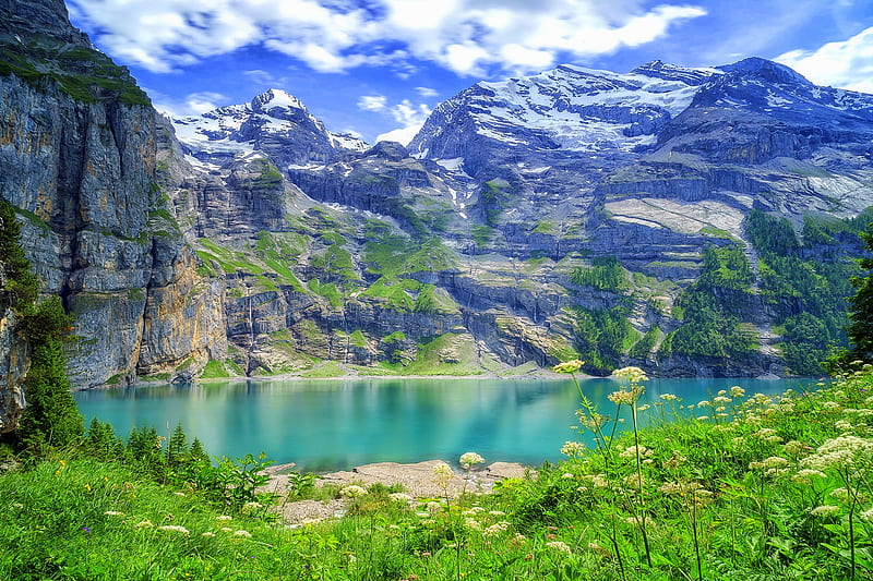Lake in the Valley, lakes, Bernese Alps, love four seasons, Switzerland, attractions in dreams, Bernese Oberland, Oeschinensee, mountains, Asinense, landscapes, flowers, nature, HD wallpaper