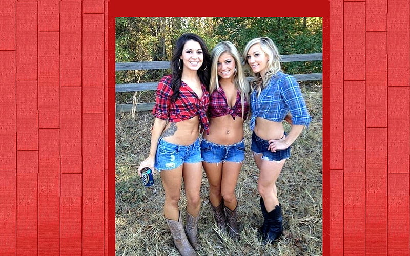 Cowgirl Party!.., cowgirl, boots, outdoors, women, barn, brunettes, party, girls, blondes, female, models, drinks, ranch, fun, fashion, western, style, HD wallpaper