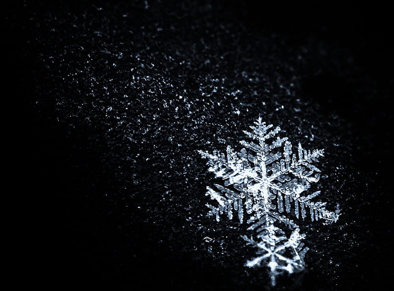 Just fell down from Heaven, heaven, snowflake, abstract, winter, HD wallpaper