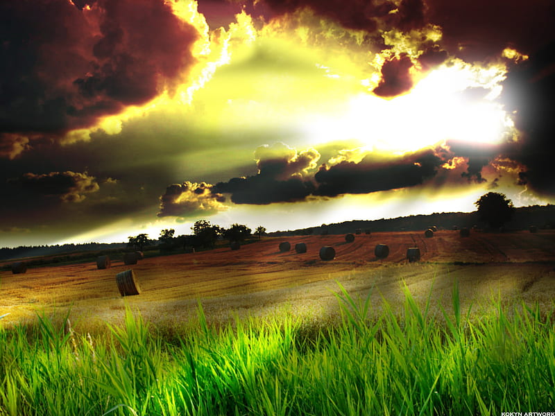 Rural Landscape, rural, sun, grass, kokyn, sunset, clouds, light, landscape, HD wallpaper