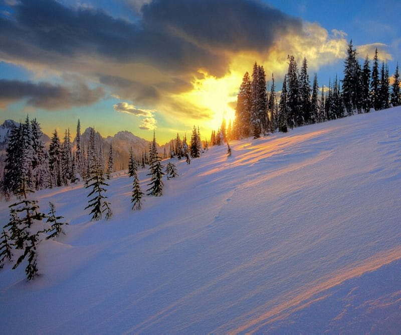 720P free download | Sun And Snow, HD wallpaper | Peakpx