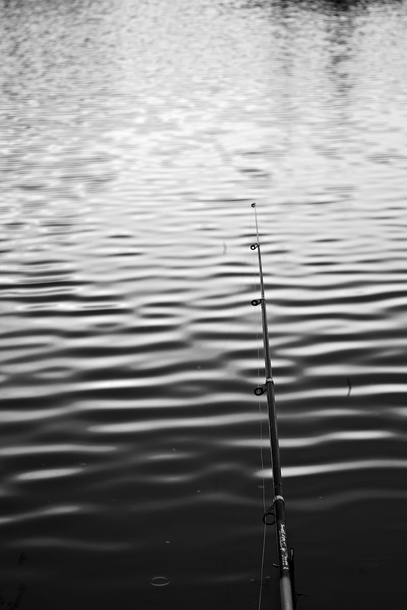 fishing rod, water, fishing, ripples, minimalism, black and white, HD phone wallpaper