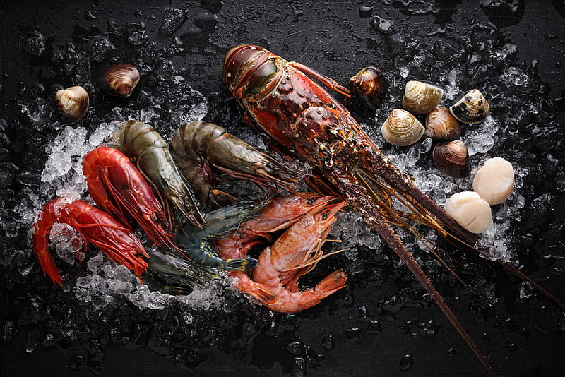 Food, Seafood, Lobster, Scallop, Shrimp, HD wallpaper