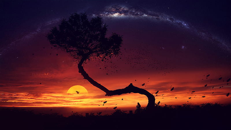 Evening Tree Sunset Digital Art, artist, artwork, digital-art, artstation, HD wallpaper