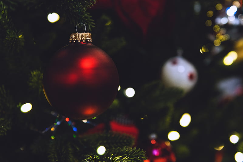 Selective focus graphy of red bauble, HD wallpaper | Peakpx