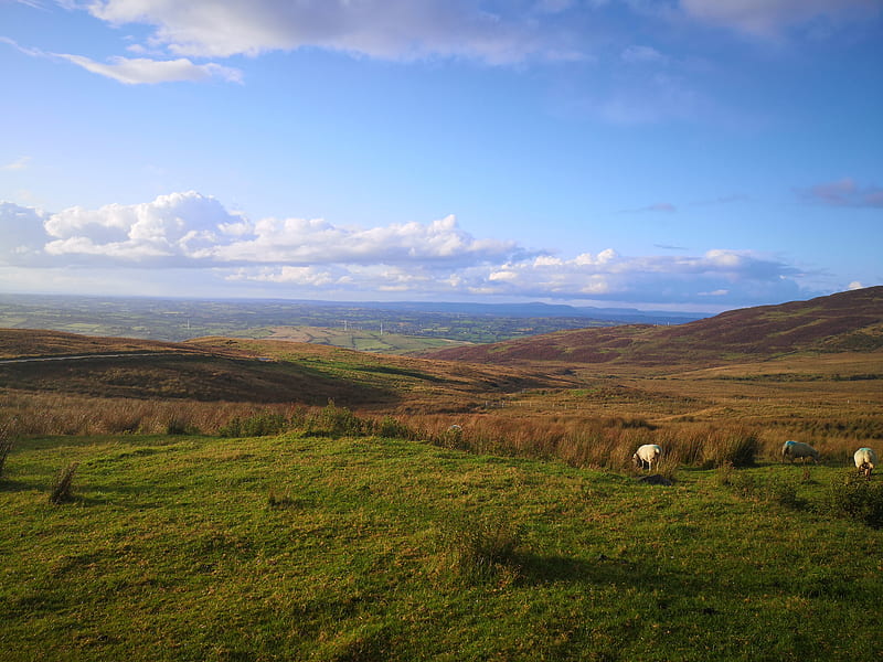 Irish hills, countryside, good view, ireland, landscape, sunshine, HD wallpaper