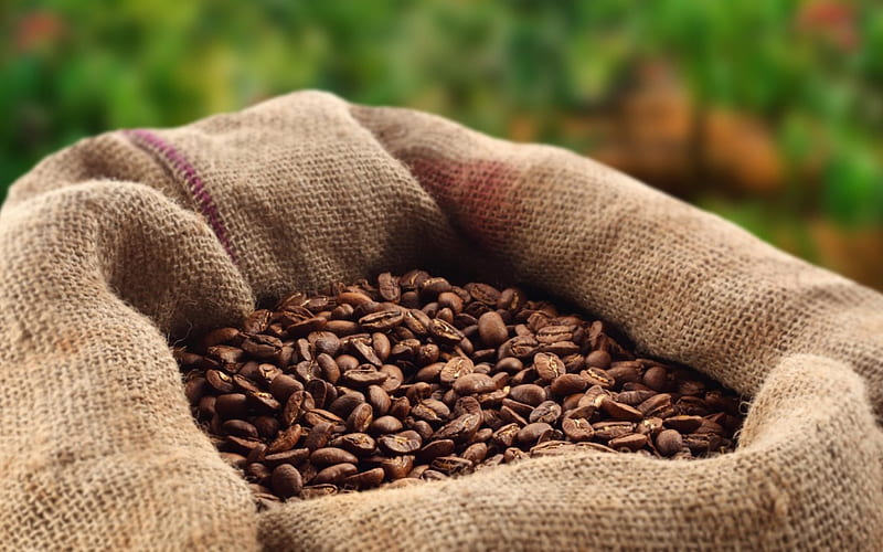 *** Sack full of coffee beans ***, coffee, food, fresh, beans, sack, HD wallpaper