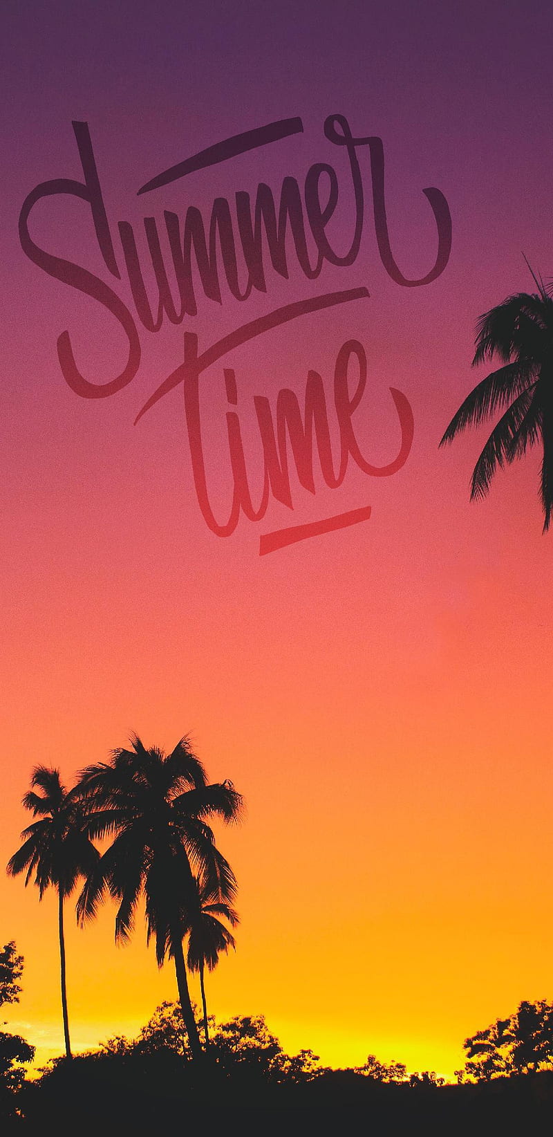 Summer time, beach, bright, colorful, palmtrees, HD phone wallpaper ...