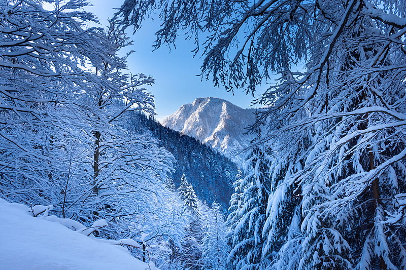 Earth, Winter, Alps, Austria, Mountain, Snow, HD wallpaper