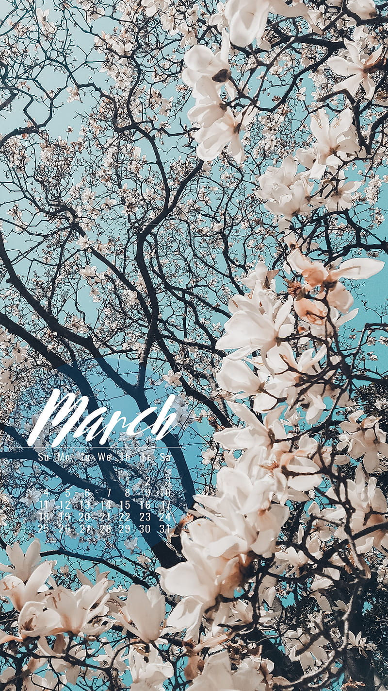 March Blossoms, march, sea, calendars, calendar, productivity, HD phone wallpaper