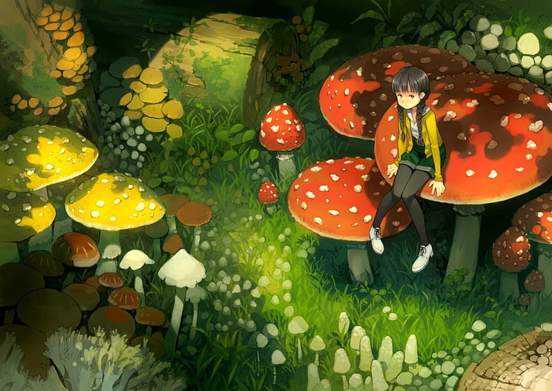 Mushrooms, red, forest, grass, manga, mushroom, yellow, fantasy, girl, green, anime, flower, HD wallpaper