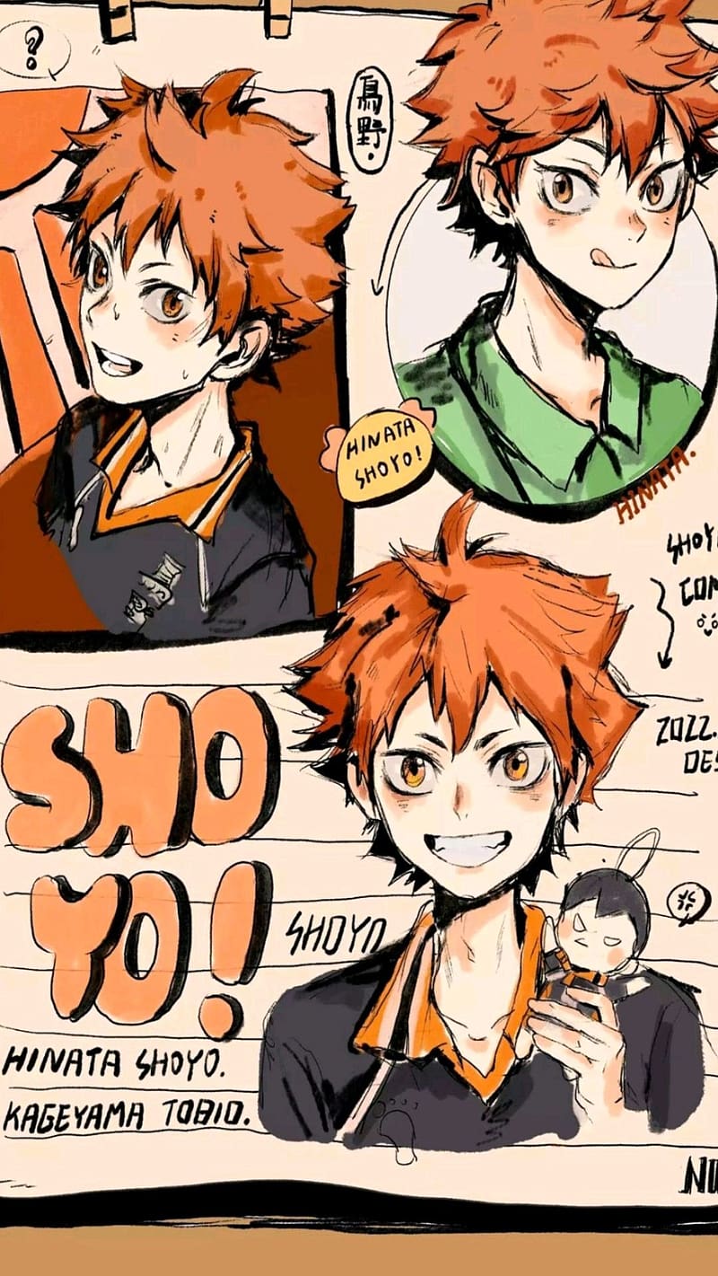 Anime Manga Volleyball Haikyuu Poster