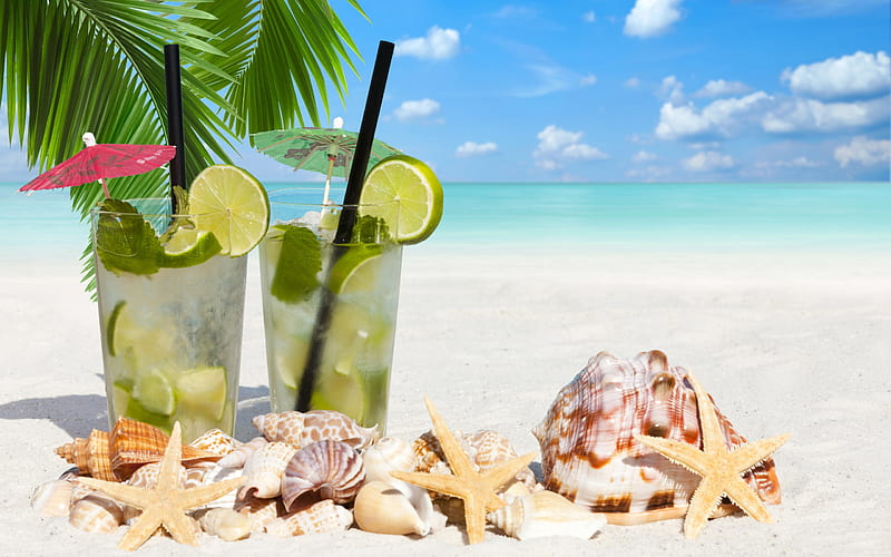 tropical beach, cocktails, Mojito, mint, summer cocktails, sea, seashells, HD wallpaper