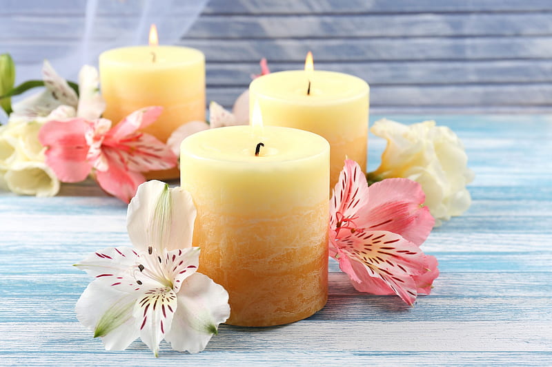 Candles and Flowers, with love, flowers, nature, petals, candles, HD ...
