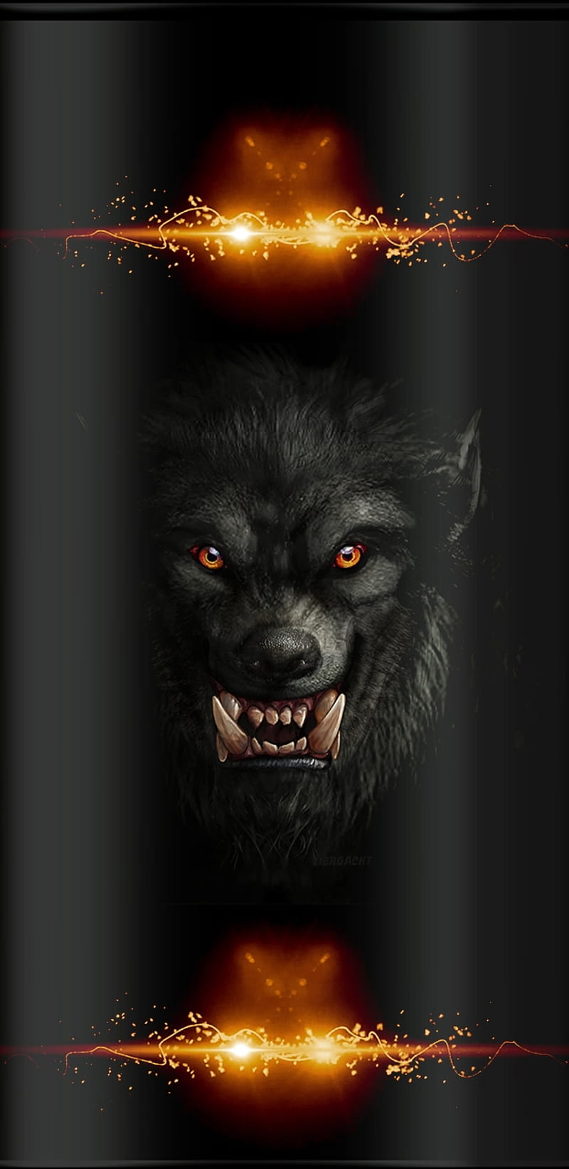 Black Wolf HD Wallpapers  Wallpaper Cave