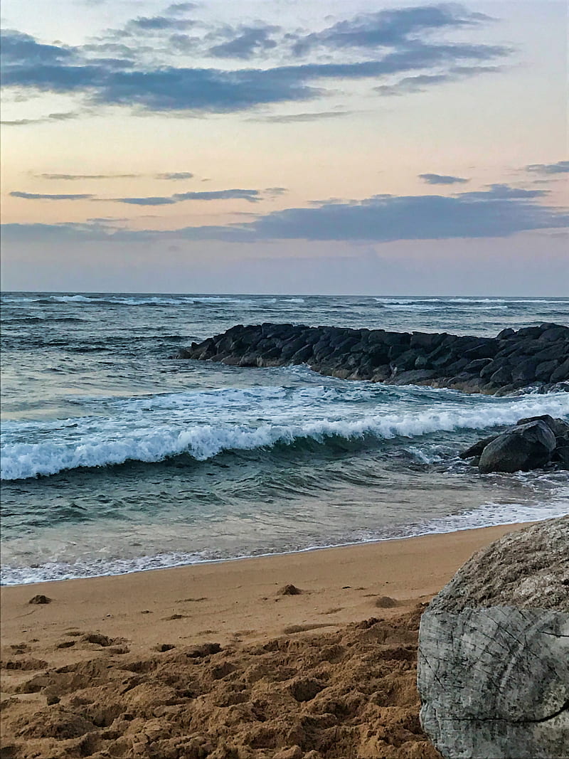 Kauai Sunrise, Flowers, beach, beaches, blue, clouds, footsteps, hawaii, island, maui, morning, ocean, rise, rocks, shells, sky, sun, water, wave, white, HD phone wallpaper