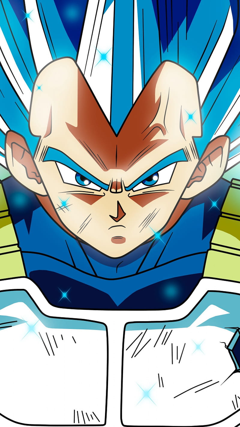 Download Vegeta Blue Evolved Goku Super Saiyan Wallpaper