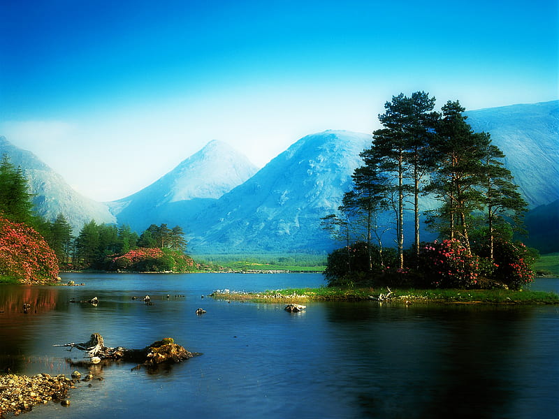It Is Real, cyan, lakes, mountains, flowers, nature, trees, HD wallpaper