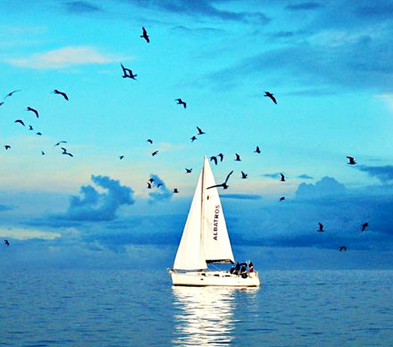 Romantic escape for two, boat, love, birds, sky, couple, sea, blue, HD wallpaper