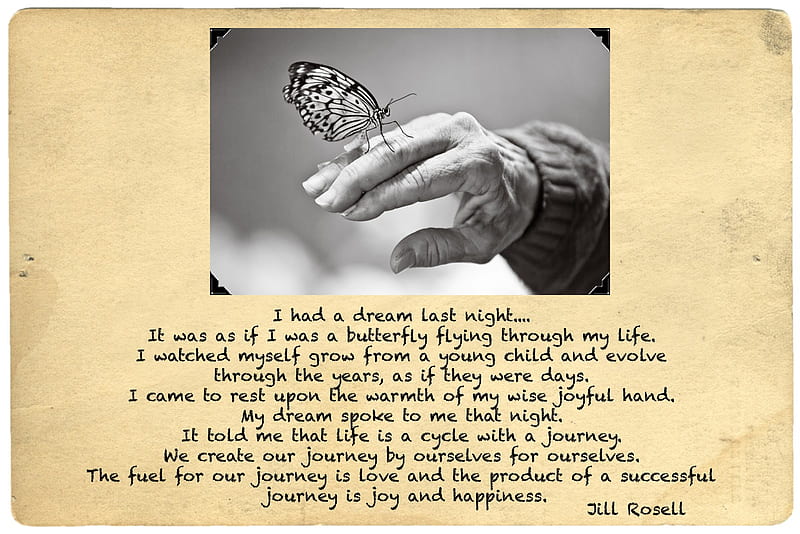 The journey of my life , old hand, butterfly, love, siempre, dream, embrace, light, insects, animals, night, life, happiness, black, smile, joy, believe, heart, sunshine, white, faith, HD wallpaper