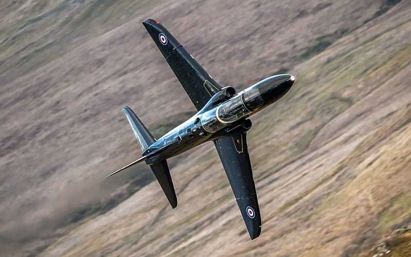 British Hawk T1A, military, aircraft, jet, british, HD wallpaper