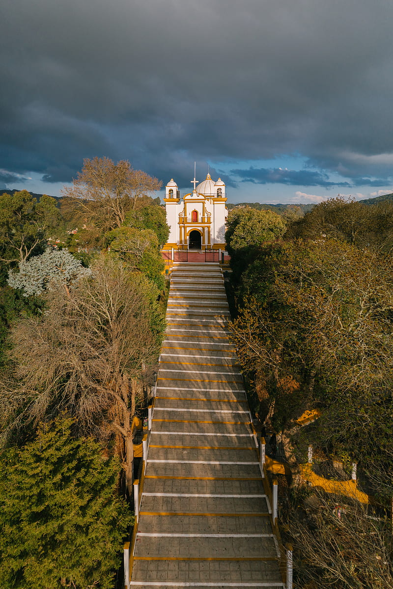 Brown Wooden Stairs Near Green Trees Under Blue Sky, HD phone wallpaper