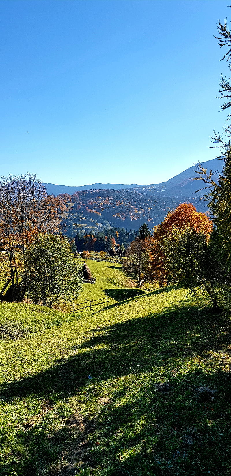 Autumn, cottage, nature, mountains, landscape, oktober, romania, new, october, tree, HD phone wallpaper