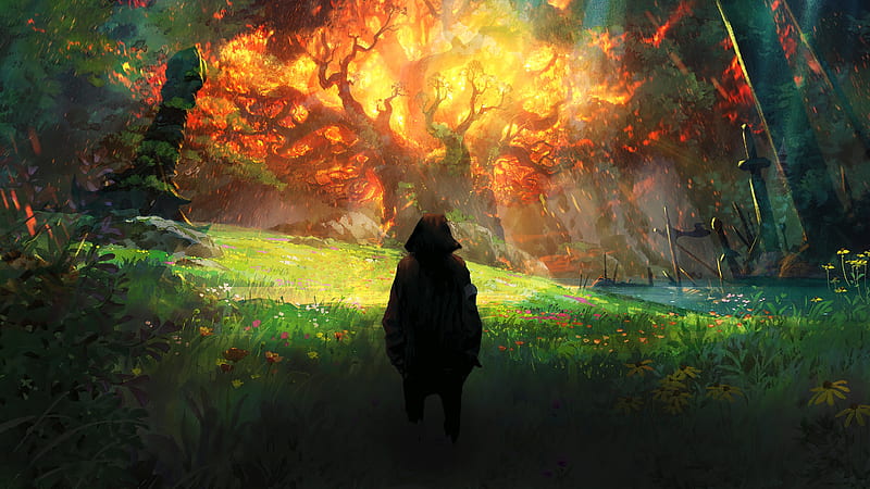 Fantasy, Forest, Fire, Flame, Grass, Landscape, Nature, HD wallpaper