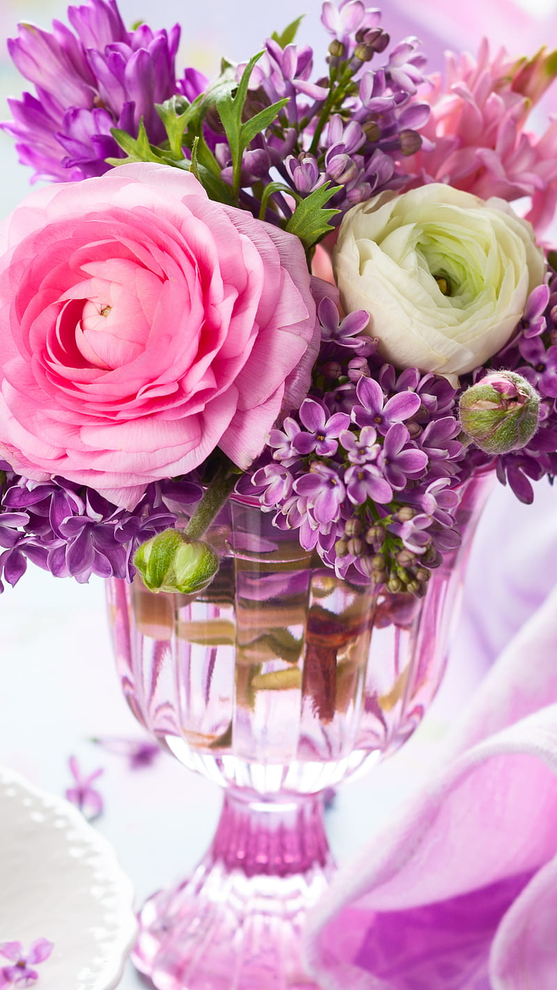 Flower , lilac, ranuncula, pink, purple, spring, HD phone wallpaper