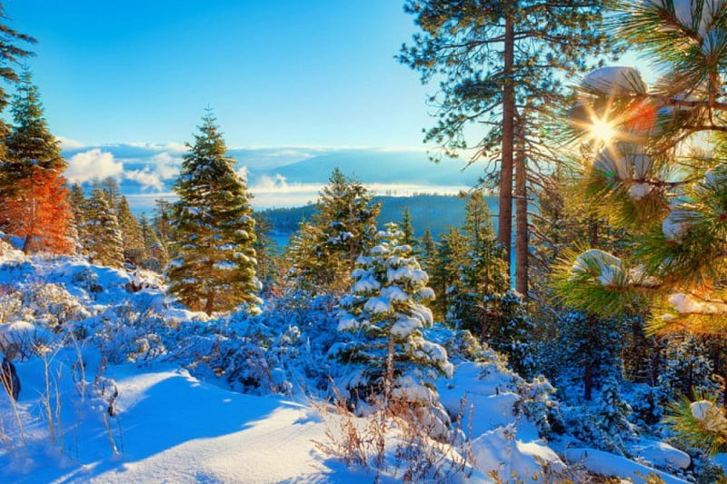 Beautiful winter in lake Tahoe, glow, sun, bonito, mountain, Tahoe, heaven, morning, frost, hills, lovely, view, sky, trees, winter, lake, rays, snow, sunshine, landscape, HD wallpaper