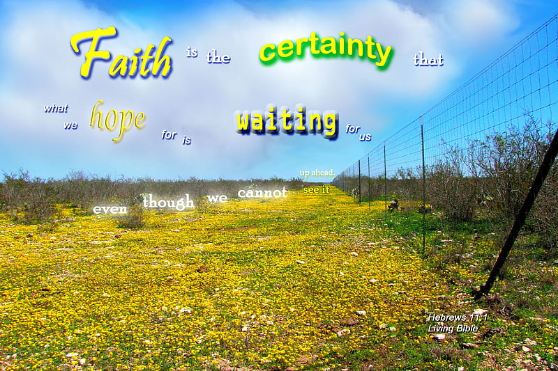 Faith is the Certainty, flowers, Bible, sky, ranch, clouds, HD wallpaper