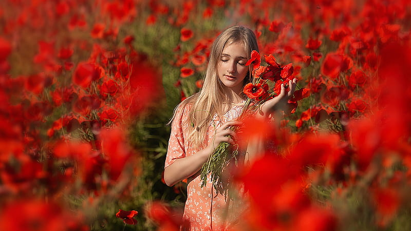 Girl Model Is Standing In Blur Red Common Poppy Flowers Field Background Wearing Orange Dress Girls, HD wallpaper