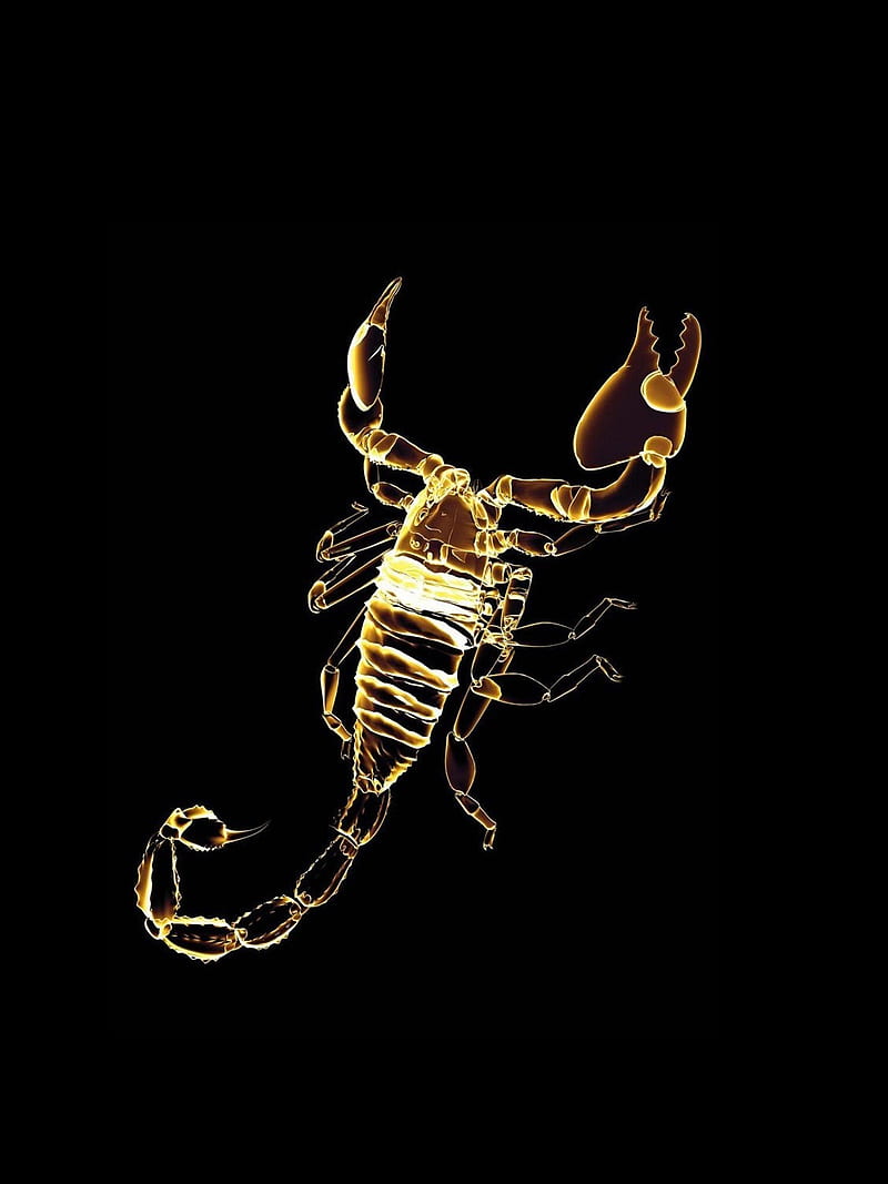Gold Scorpion, animals, background neon, scorpions, HD phone wallpaper