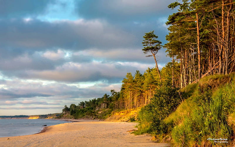Coast of Latvia, sea, coast, beach, Latvia, clouds, trees, HD wallpaper