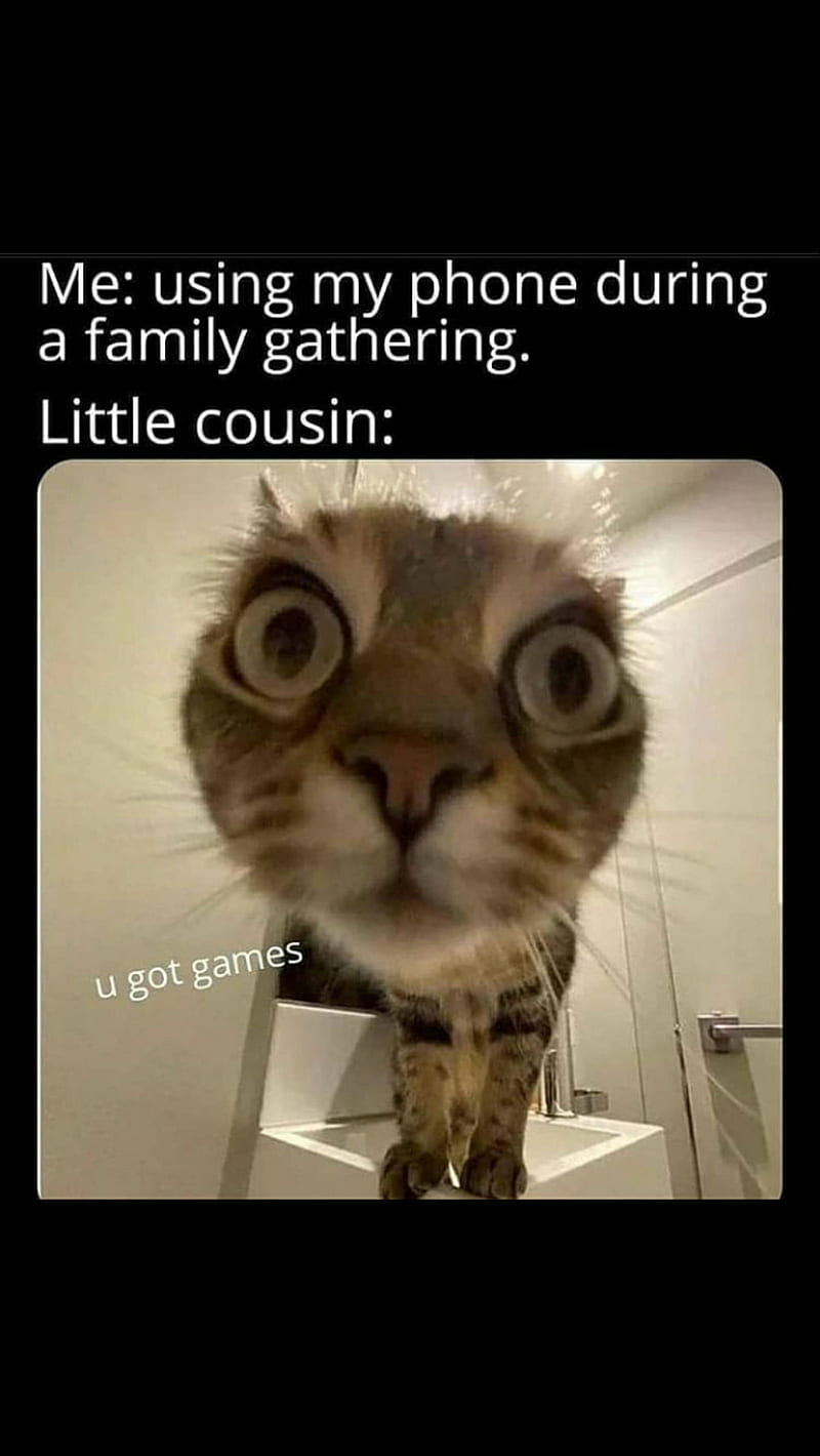 You got games, cat, funny, hi, little cousin be like, meme, HD phone wallpaper