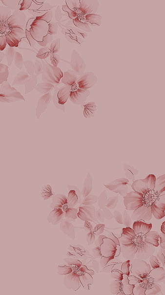 44 Pink Flower HD Wallpaper  WallpaperSafari