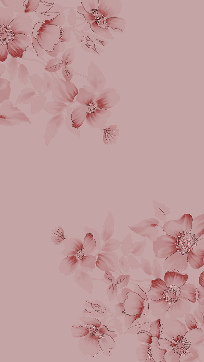 Pink Flowers Aesthetic Flower Hd