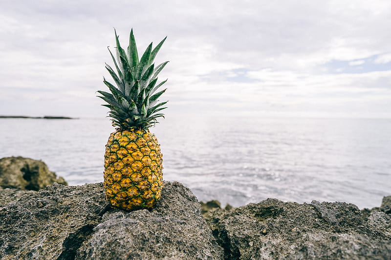 pineapple on gray rock near body of water, HD wallpaper