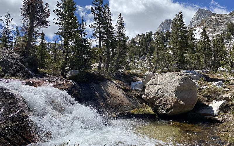 Piute Creek, Yosemite NP, California, trees, usa, rocks, water, cascade ...