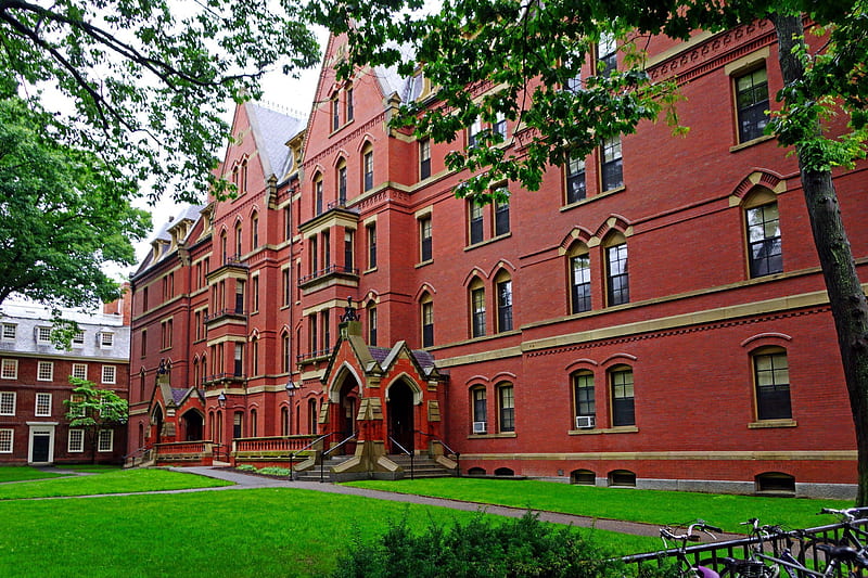 Harvard University, red, arhitecture, university, green, harvard, buildings, branches, brick, HD wallpaper